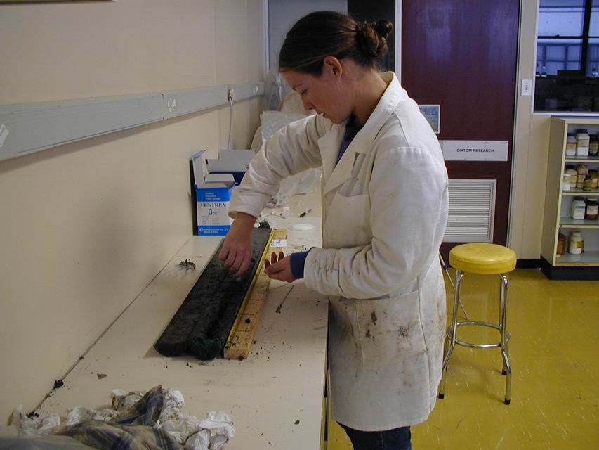 Mud glorious mud - PhD student examining an estuary mud core