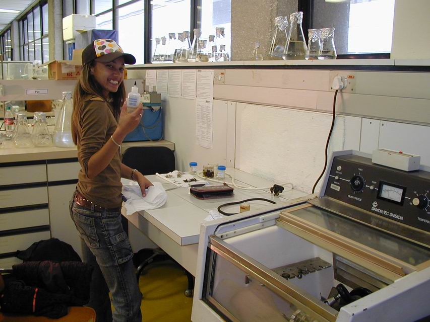 Peparing samples for sectioning using a freeze microtome
